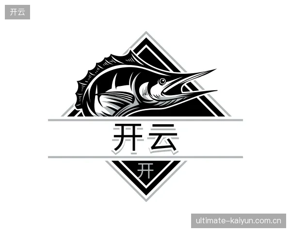 介绍开云团队